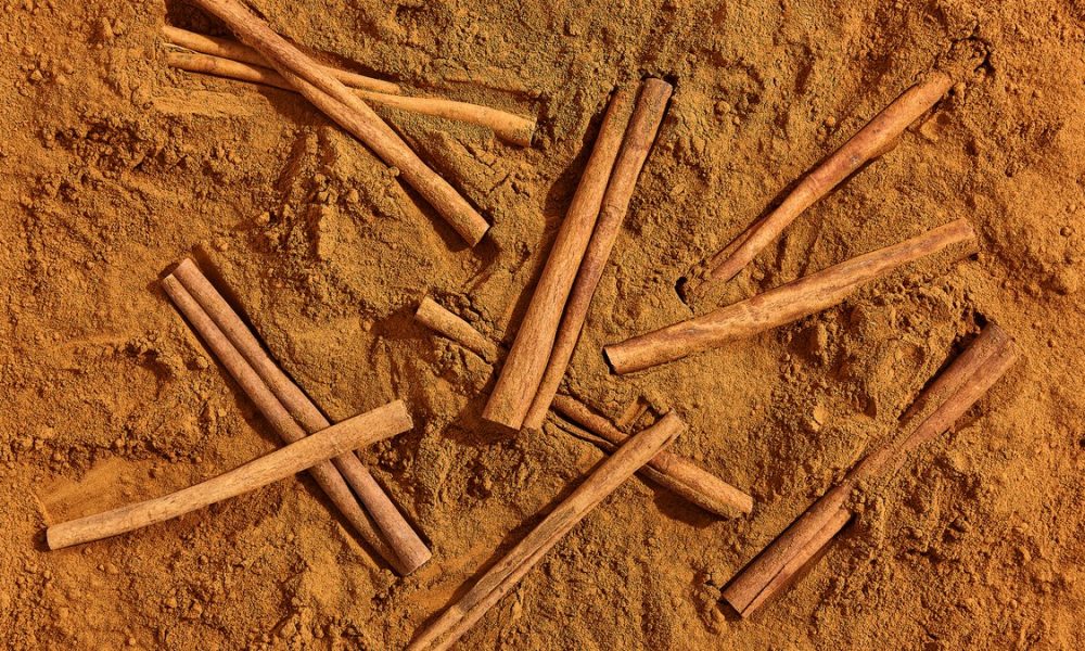 All the Types of Cinnamon, Explained