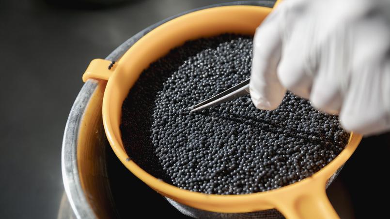 Le caviar made in Sologne