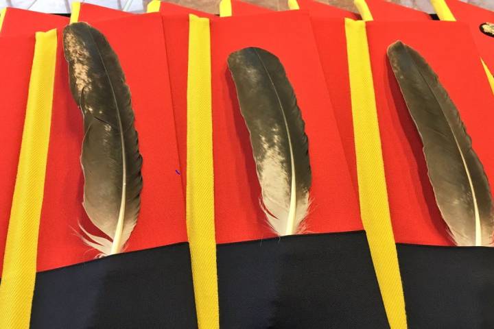 Eagle feathers now an option for legal affirmations in N.S. a courts – Halifax