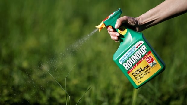 ‘Troubling allegations’ prompt Health Canada review of studies used to approve popular weed-killer