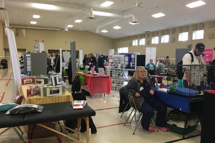Lindsay Wellness Fair hosts 45 vendors to promote health and screening – Peterborough