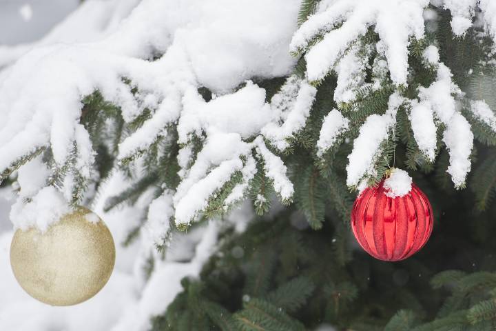 No Christmas Day snowfall for most Canadian cities, forecasts show – National