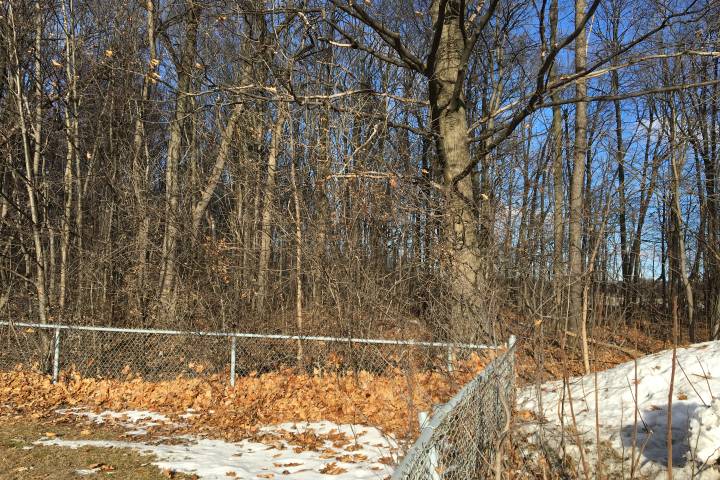 Senneville residents block condo development but could lose trees to house construction – Montreal