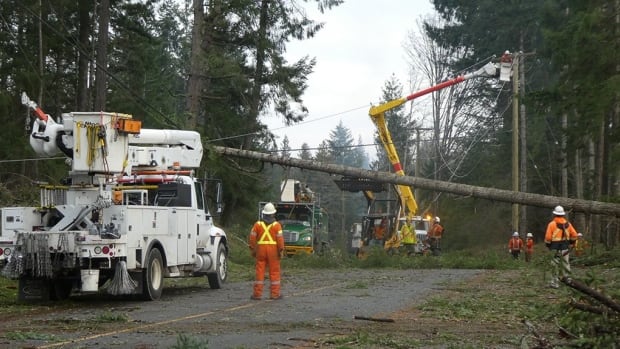 4 days and counting: More delays expected for power restoration to thousands of B.C. homes