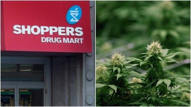 Shoppers Drug Mart granted licence to sell medical marijuana online