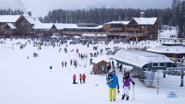 Lake Louise ski resort wants fine reduced from $2M to $200,000 for chopping down endangered trees