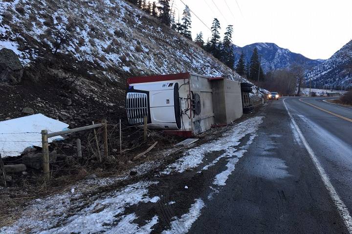 ‘We tried saving as many as we could’: Truck driver hauling pigs in B.C. highway crash defends efforts
