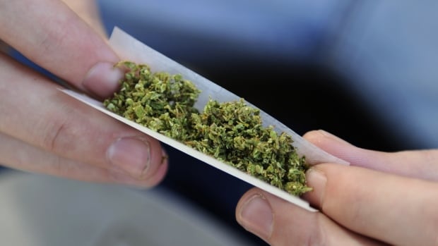 Price of pot is up since legalization, StatsCan finds