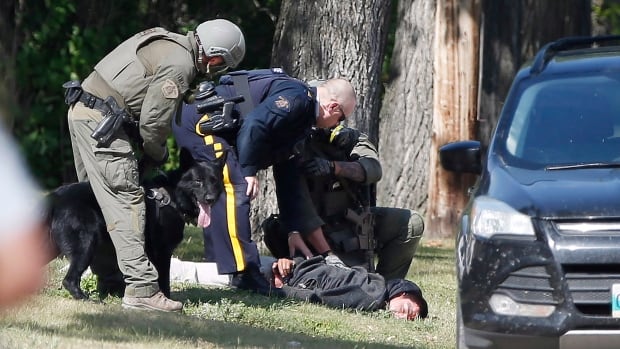 Man accused of shooting Manitoba RCMP officer pleads guilty to attempted murder
