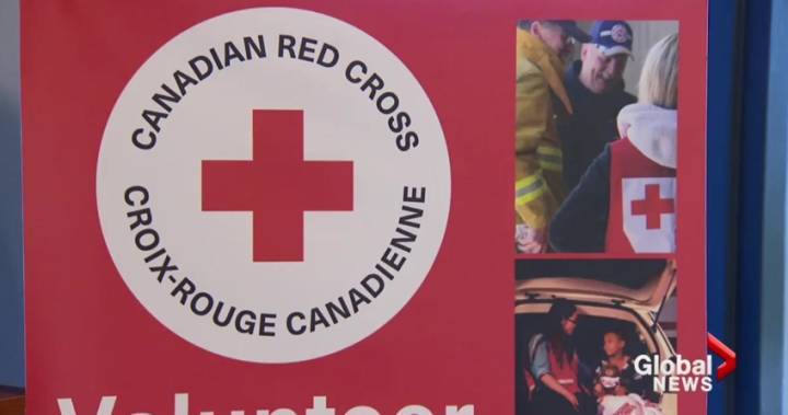 New Brunswick flooding has Red Cross looking for more volunteers – New Brunswick