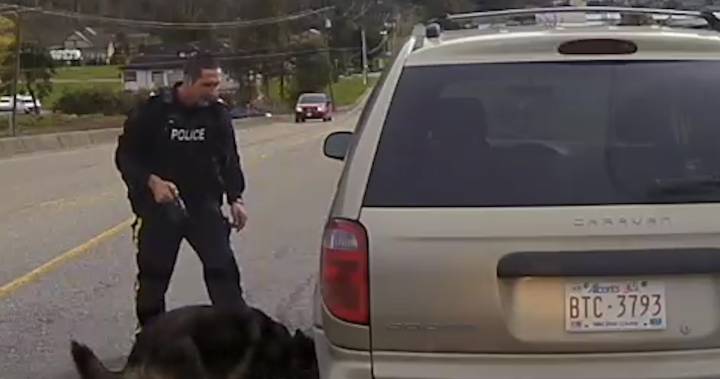 Man beats fentanyl trafficking charge due to charter violation. Here’s the video of the dog sniffing the car