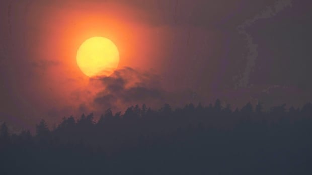 Expect every year to be ‘awful’: Experts weigh how to protect B.C. public from wildfire smoke